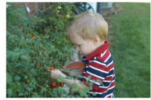 Eat Your Veggies! Books & Activities to Get Kids Interested in Healthy Eating