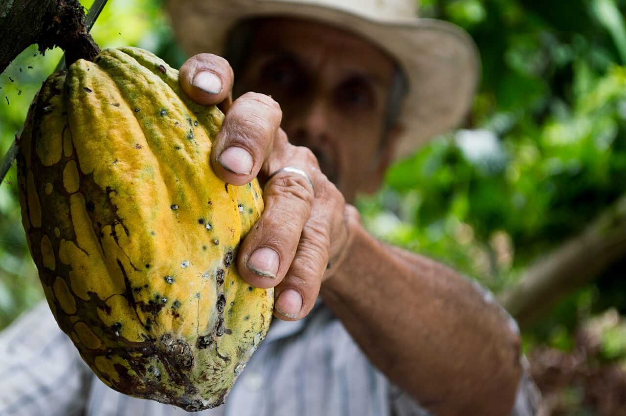 Fair Trade | Global Poverty | Poverty in America | Teach Children about Poverty | Hunger and Poverty for Kids