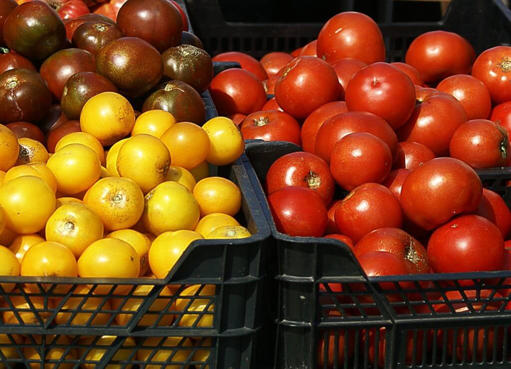 Reduce food waste | Food waste for kids | Climate change for kids