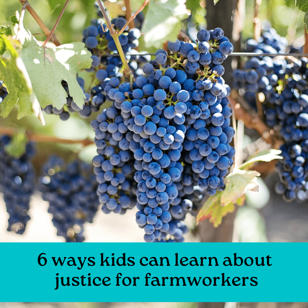 6 Ways Kids Can Learn about Farmworkers and Support their Rights